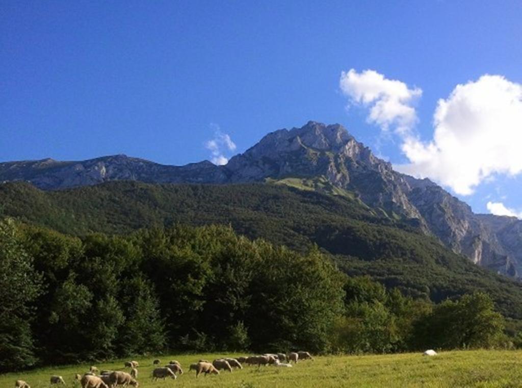 Отель Agriturismo Lu Formaggio Castelli Экстерьер фото